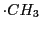 $\cdot CH_3$