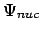 $\Psi_{nuc}$