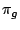 $\pi_g$