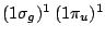 $(1\sigma_g)^1\ (1\pi_u)^1$