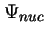 $\Psi_{nuc}$
