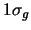 $1 \sigma_g$