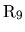 ${\rm R_9} $
