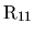 ${\rm R_{11}}$
