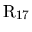 ${\rm R_{17}}$