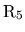 ${\rm R_5} $