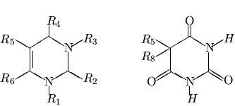\begin{displaymath}\pyrimidine{$R_1$}{$R_2$}{$R_3$}{$R_4$}{$R_5$}{$R_6$}{Q}{Q}{D...
...ace{3cm}
\pyrimidine{$H $}{O}{$H $}{O}{$R_5$}{O}{Q}{$R_8$}{Q} \end{displaymath}
